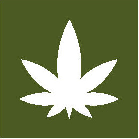 Visual für MOVE Cannabis