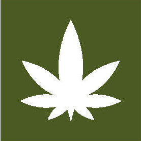 Visual für MOVE Cannabis